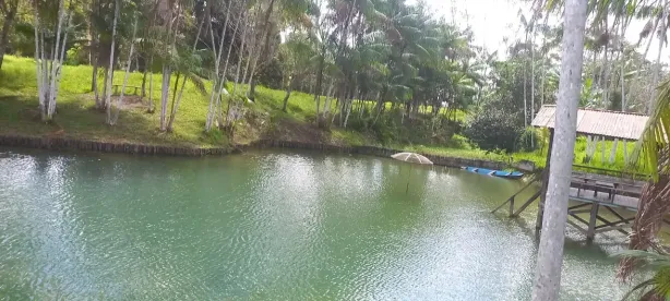Fazenda/Sítio com 10 Quartos à venda, 500000m² no Santo Antônio do Tauá, Santo Antônio do Tauá