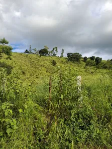 Fazenda/Sítio à venda, 1020m² no Jardim Ana Maria, Cambuí