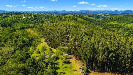 Fazenda/Sítio à venda, 929400m² no Centro, Campo Largo