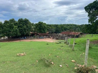 Lote/Terreno à venda, 137m² no , Fazenda Nova