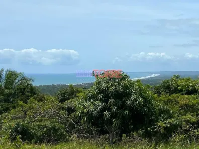 Fazenda/Sítio com 3 Quartos à venda, 120000m² no Área Rural de Ilhéus, Ilhéus
