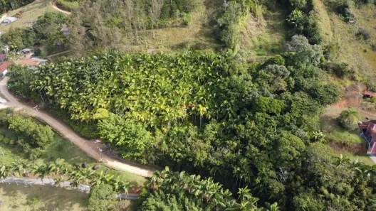 Lote/Terreno à venda, 1564m² no Centro, Antônio Carlos