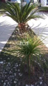 Casa com 3 Quartos à venda, 280m² no Praia das Palmeiras, Caraguatatuba