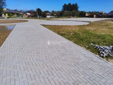 Lote/Terreno à venda, 227m² no Parque dos Anjos, Gravataí