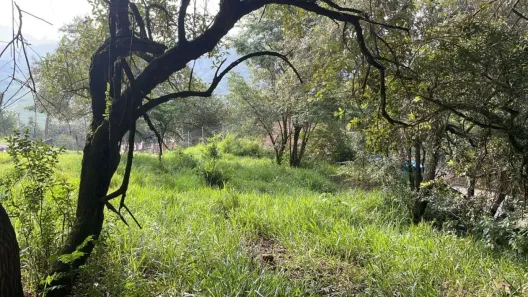Lote/Terreno à venda, 4500m² no Parque Santana, Santana de Parnaíba