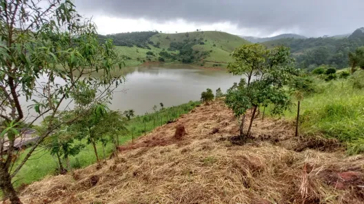 Fazenda/Sítio à venda, 2000m² no , Redenção da Serra