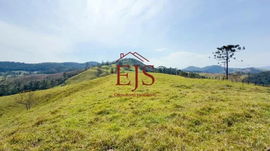 Lote/Terreno à venda, 1400m² no Vale do Rio Cachoeira, Piracaia