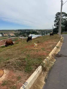 Lote/Terreno à venda, 837m² no Jardim Santa Hermínia, São José dos Campos