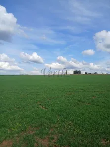Fazenda/Sítio com 6 Quartos à venda, 55m² no Alterosa, Alterosa