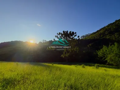Lote/Terreno à venda, 20000m² no , Toledo