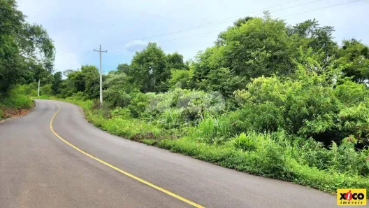 Fazenda/Sítio com 1 Quarto à venda, 5000m² no , Nova Petrópolis