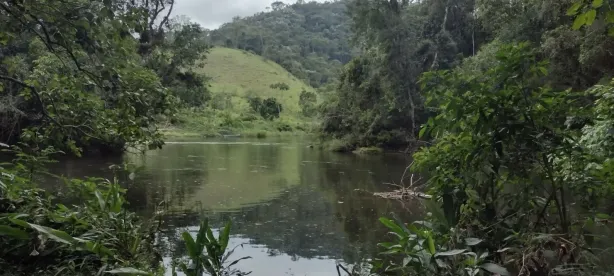 Fazenda/Sítio com 1 Quarto à venda, 100m² no , São Luiz do Paraitinga