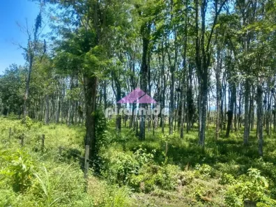 Lote/Terreno à venda, 10m² no Barranco Alto, Caraguatatuba