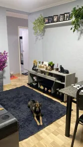 Apartamento com 2 Quartos à venda, 49m² no Residencial Takanos, Campinas