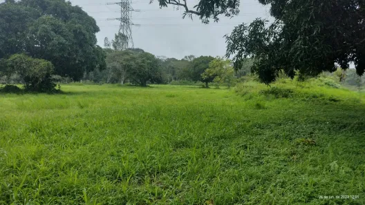 Fazenda/Sítio com 2 Quartos à venda, 95000m² no , Camaragibe