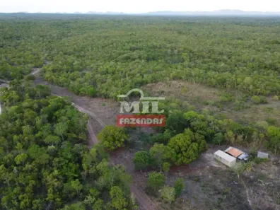 Fazenda/Sítio à venda, 500m² no , Arraias
