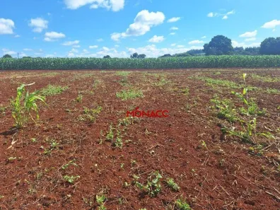 Lote/Terreno à venda, 2000m² no Espírito Santo, Londrina