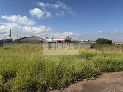 Lote/Terreno à venda, 301m² no Cará-cará, Ponta Grossa