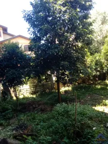 Lote/Terreno à venda, 391m² no Kayser, Caxias do Sul