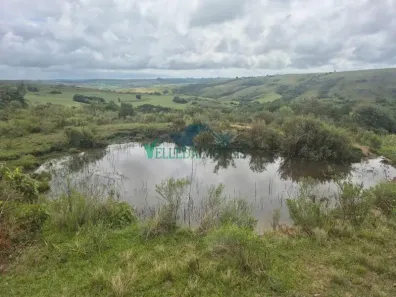 Fazenda/Sítio com 1 Quarto à venda, 200000m² no , Encruzilhada do Sul