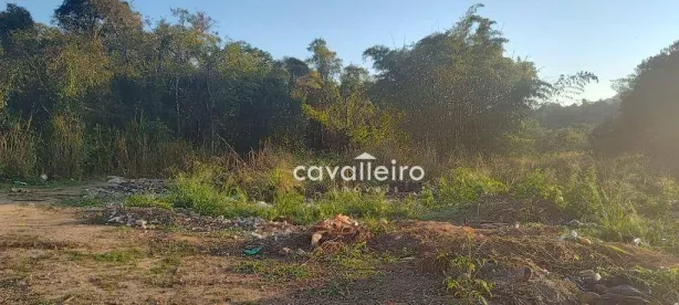 Lote/Terreno à venda, 6503m² no Jardim Atlântico Central (Itaipuaçu), Maricá