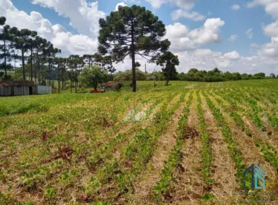Lote/Terreno à venda, 184057m² no Nossa Senhora Salete, Caçador