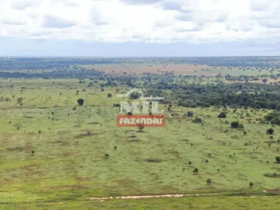 Fazenda/Sítio à venda, 204m² no , Nova Crixás