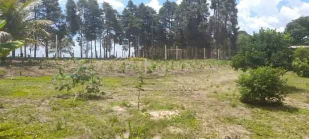 Fazenda/Sítio à venda, 2545m² no Campo do Meio, Araçoiaba da Serra