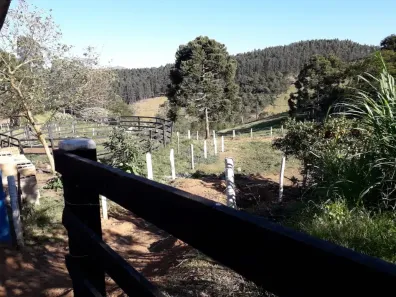 Fazenda/Sítio com 3 Quartos à venda, 9000000m² no Cachoeira Grande, Lagoinha