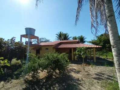 Fazenda/Sítio com 3 Quartos à venda, 7200m² no Centro, Eunápolis
