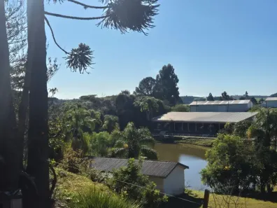Fazenda/Sítio à venda, 4m² no Guajuvira, Araucária