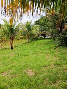 Fazenda/Sítio com 4 Quartos à venda, 40000m² no , Moreno