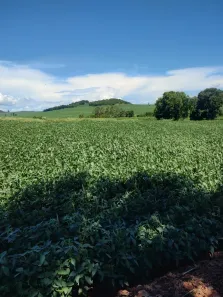 Fazenda/Sítio à venda, 23140m² no Água Boa, Paiçandu