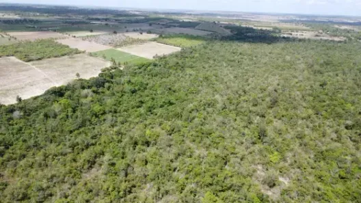 Fazenda/Sítio com 4 Quartos à venda, 2700000m² no , Macaíba