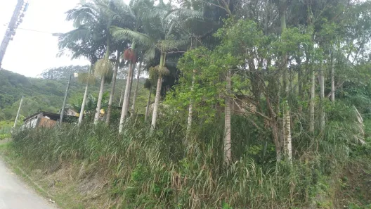 Fazenda/Sítio com 2 Quartos à venda, 75m² no Prado, Biguaçu