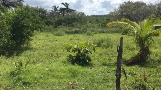 Lote/Terreno à venda, 600m² no , Vera Cruz
