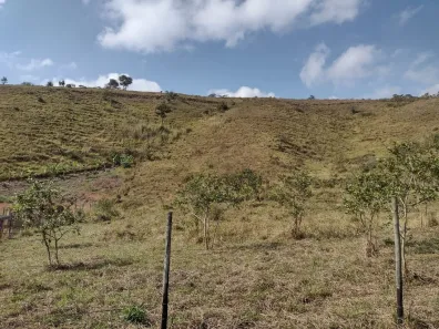Fazenda/Sítio à venda, 6000m² no Área Rural de Ponte Nova, Ponte Nova