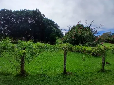 Lote/Terreno à venda, 1000m² no Vila de Abrantes (Abrantes), Camaçari