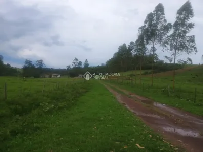 Fazenda/Sítio à venda, 100000m² no Evaristo, Santo Antônio da Patrulha