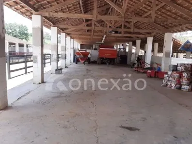 Fazenda/Sítio com 4 Quartos à venda, 250m² no Centro, Caçapava