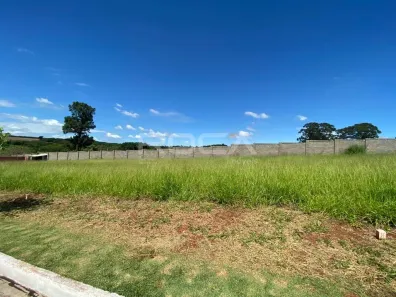 Lote/Terreno à venda, 256m² no Residencial Samambaia, São Carlos