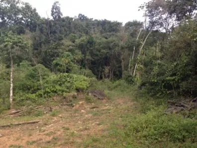 Lote/Terreno à venda, 361600m² no Amizade, Jaraguá do Sul