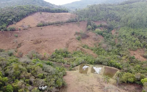 Lote/Terreno à venda, 20000m² no , Caeté