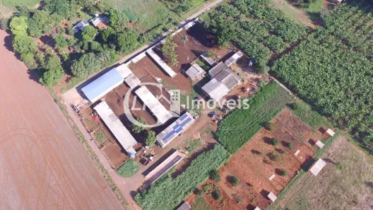 Fazenda/Sítio com 1 Quarto à venda, 180m² no , Terenos