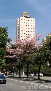 Apartamento com 1 Quarto para alugar, 40m² no Santo Amaro, São Paulo
