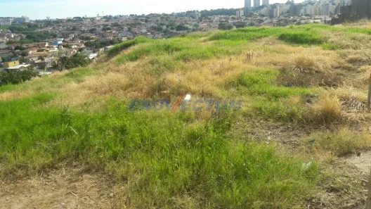 Lote/Terreno à venda, 1365m² no Jardim Paranapanema, Campinas