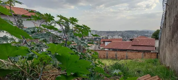 Lote/Terreno à venda, 363m² no Havaí, Belo Horizonte