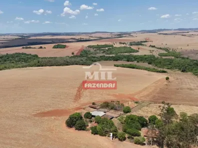 Fazenda/Sítio à venda, 500m² no , Cezarina