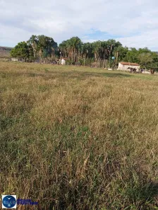 Fazenda/Sítio com 3 Quartos à venda, 30m² no Centro, Iporá
