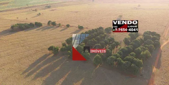 Fazenda/Sítio à venda, 242000m² no Rubinéia, Rubinéia